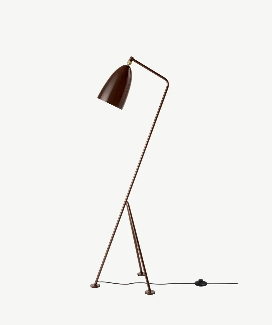 Miruna Floor Lamp