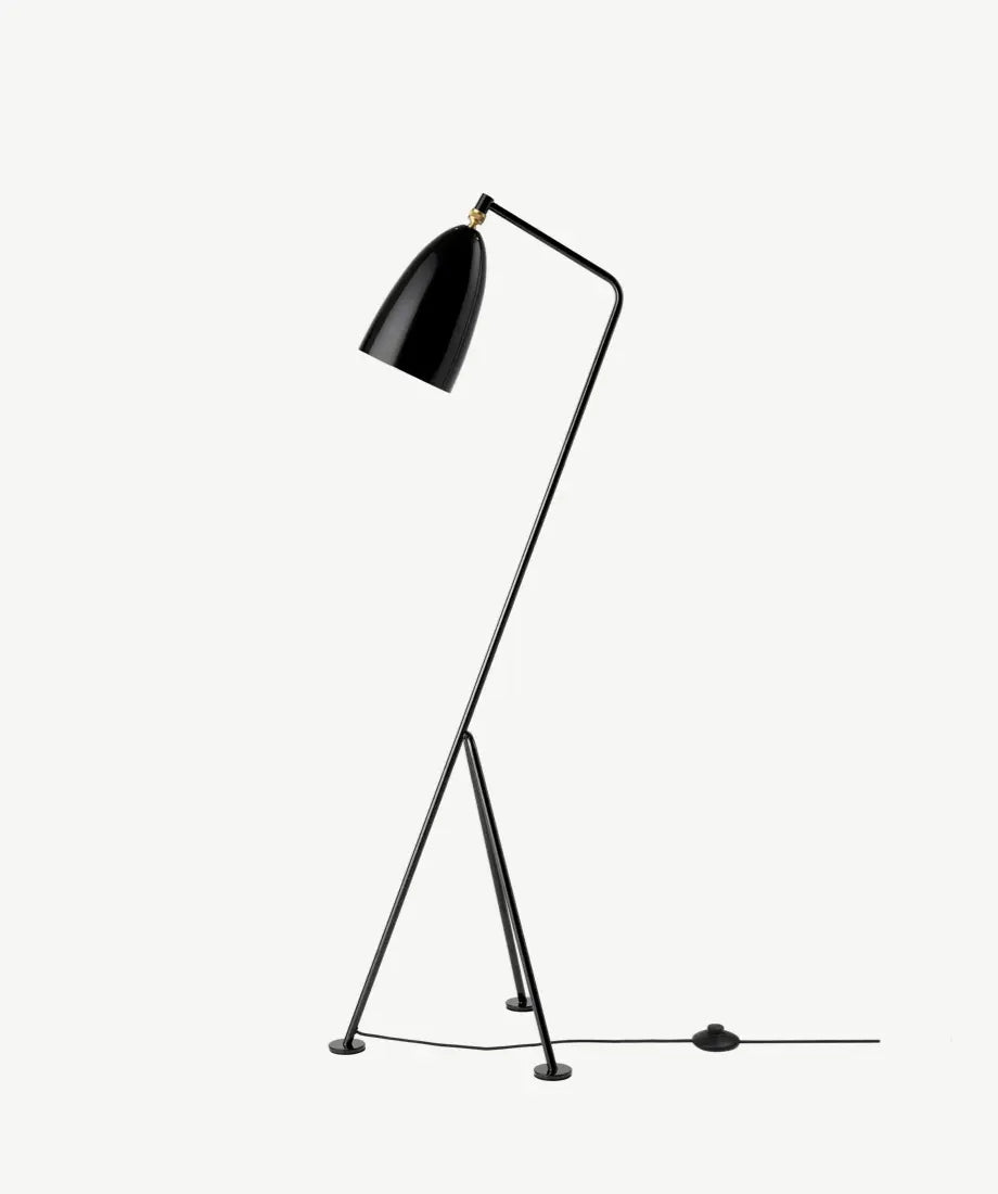 Miruna Floor Lamp